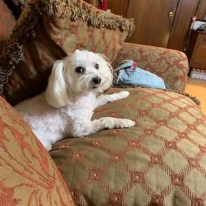 Meet your Posher, Evelyn p.